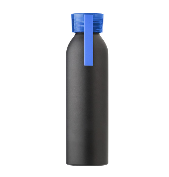 Aluminium fles 650 ml (9305).png