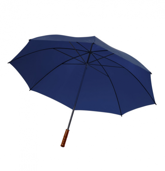 Polyester 190T paraplu (4066)